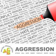 Aggression N8