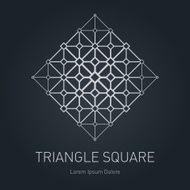 Modern stylish logo Design element with triangles