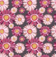 Gerbera N2
