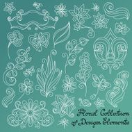 Vector Floral Collection of Hand Drawn Design Elements N6