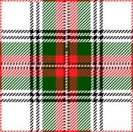 Stewart Tartan Plaid Design