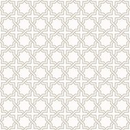 Tangled Pattern N2