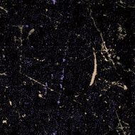 Seamless scratched rusty grunge texture vector background