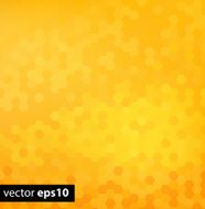 Honey pattern vector illustration