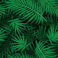 Trendy summer jungle repeat pattern N2