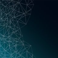 Network N15