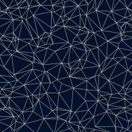 polygon triangulation