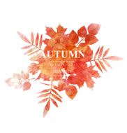 vector autumn orange leaves (imitation of watercolors)