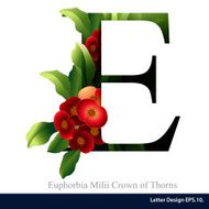 Letter E vector alphabet with crown of thorns flower N2