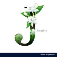 Letter J vector alphabet with Jasmine flower ABC concept N2