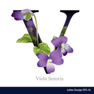 Letter V vector alphabet with viola sororia ABC concept N2