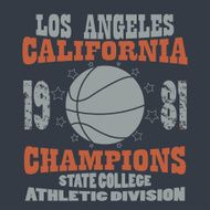 Basketball Champions t-shirt N2