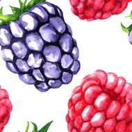 Vector seamless pattern with berries N2