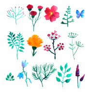 Vector set of watercolor plants