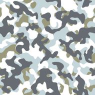 Winter Camouflage Seamless Pattern N2