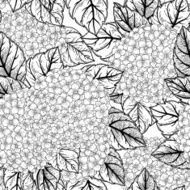 Seamless floral pattern with hydrangeas