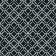 black and white grid pattern