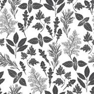 Seamless pattern with culinary herbs and spices