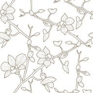 Orchid Pattern N3