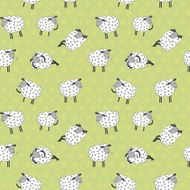 cartoon sheeps