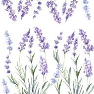 Decorative watercolor background of Lavender