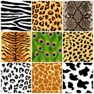 Animal seamless patterns set