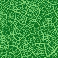 Leaf - Seamless Texture
