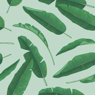 Banana leaves pattern