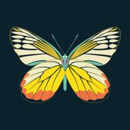butterfly yellow wing abstract on navy background