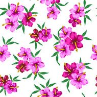 pattern of Hibiscus N18