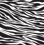 zebra pattern vector