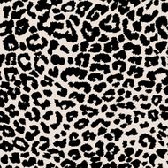 Leopard background