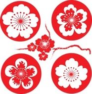 sakura flowers