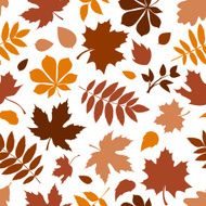 Seamless pattern with various brown autumn leaves on white Vector