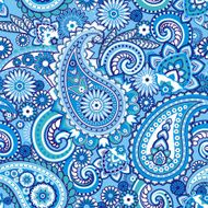 paisley N21