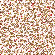 Lovely autumn background with cranberries