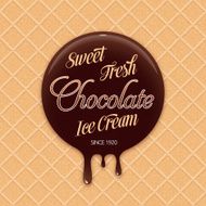 Sweet Chocolate Ice Cream