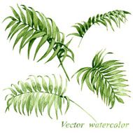Palm Leaves N4