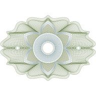 Complex currency diploma design