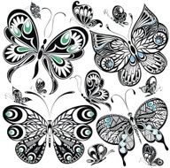 butterfly set N6
