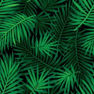 Tropical Palm leaf pattern N2