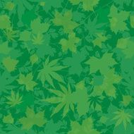 Seamless green leaf background