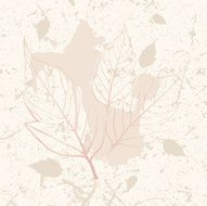 nature background N6