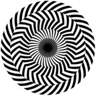 Black and white spiral optical illusion White background Vector N2
