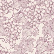 ripe grapes