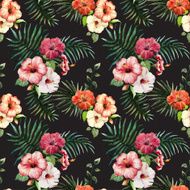 Tropics3