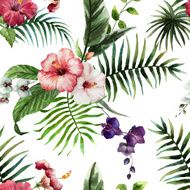Tropics4