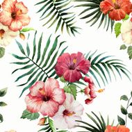 Tropics1
