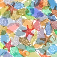 Shells background