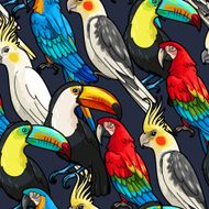Seamless macaw and toucan